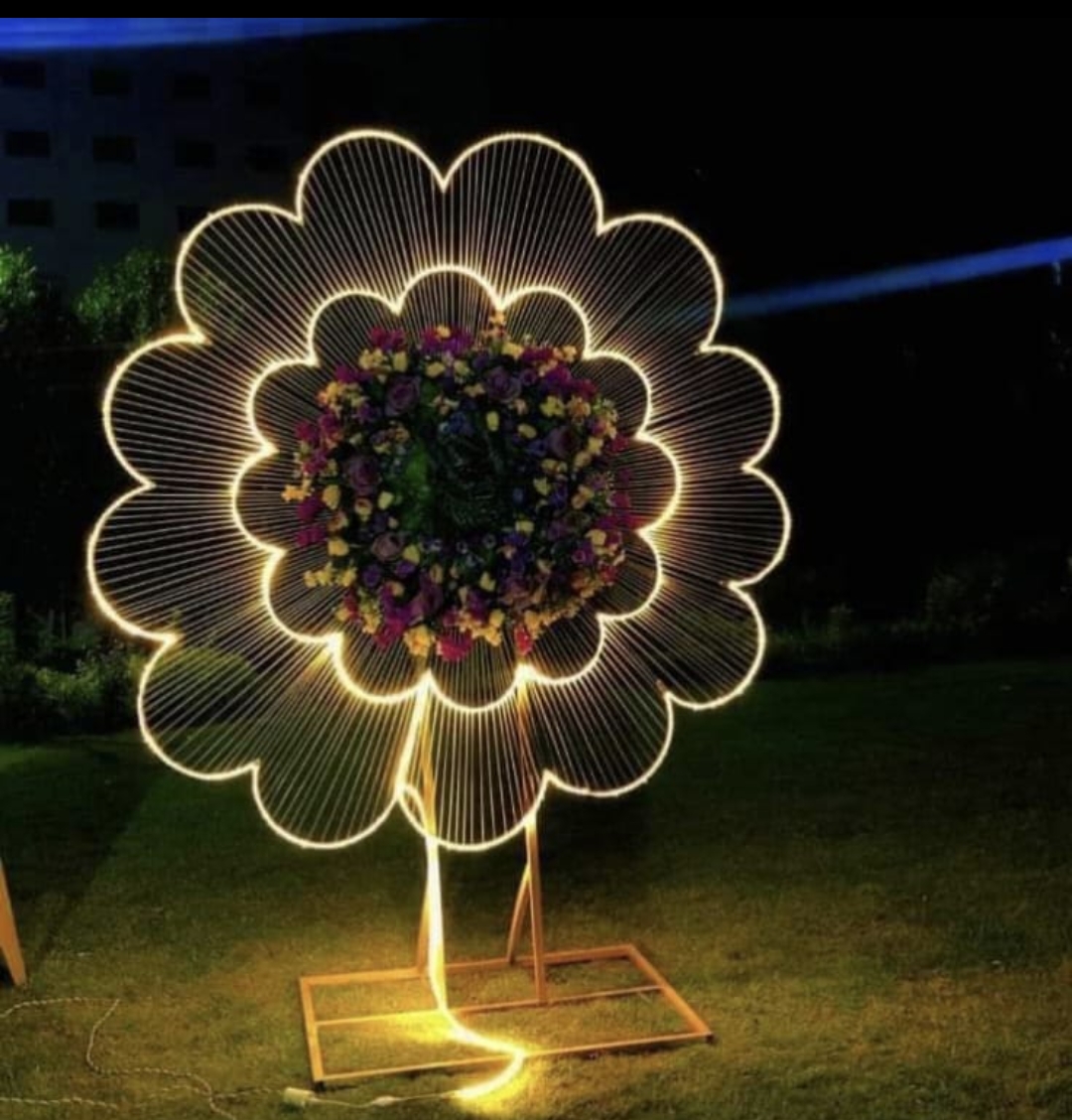 Premium Jhal LED Lights for Wedding and Event Decoration